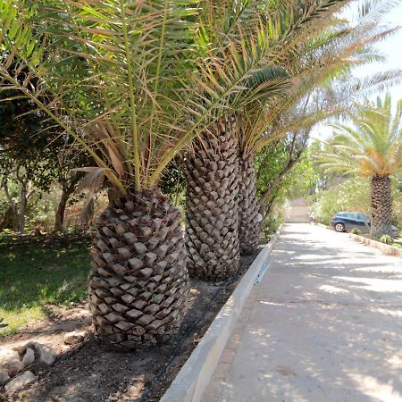 Villa Delle Terrazze Punta Secca Dış mekan fotoğraf